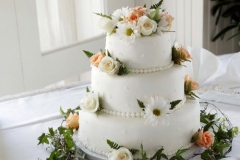 cake5